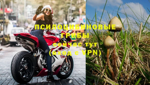 ешки Новозыбков