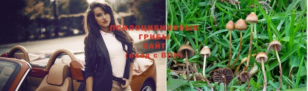 меф Няндома