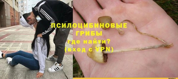 2c-b Нягань