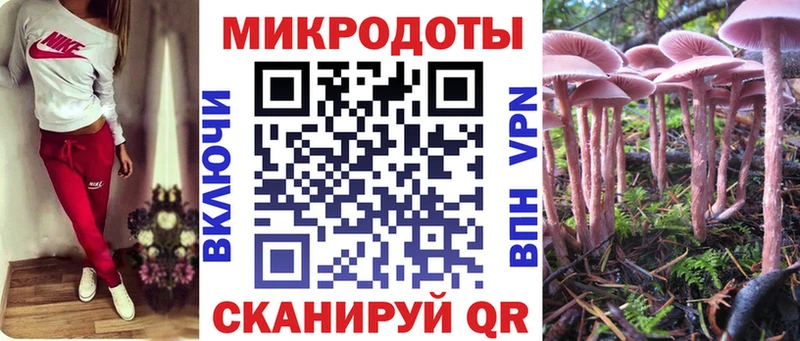 Псилоцибиновые грибы GOLDEN TEACHER  цена наркотик  Иннополис 